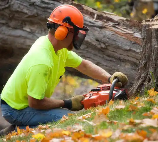 tree services Waggaman